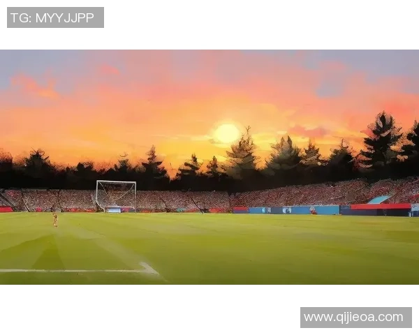 足球坪图片展示与分析让我们领略绿茵场上的无限魅力与激情