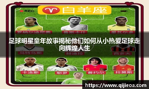 mk体育官网入口