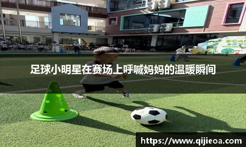 mk体育官网入口